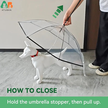 Dog Umbrella with Leash - Small Pets