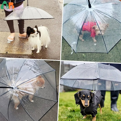 Dog Umbrella with Leash - Small Pets