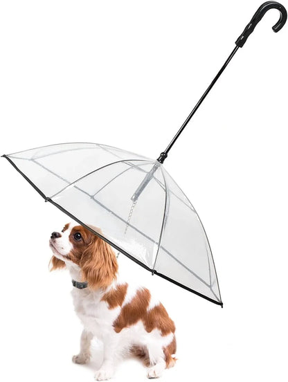 Dog Umbrella with Leash - Small Pets