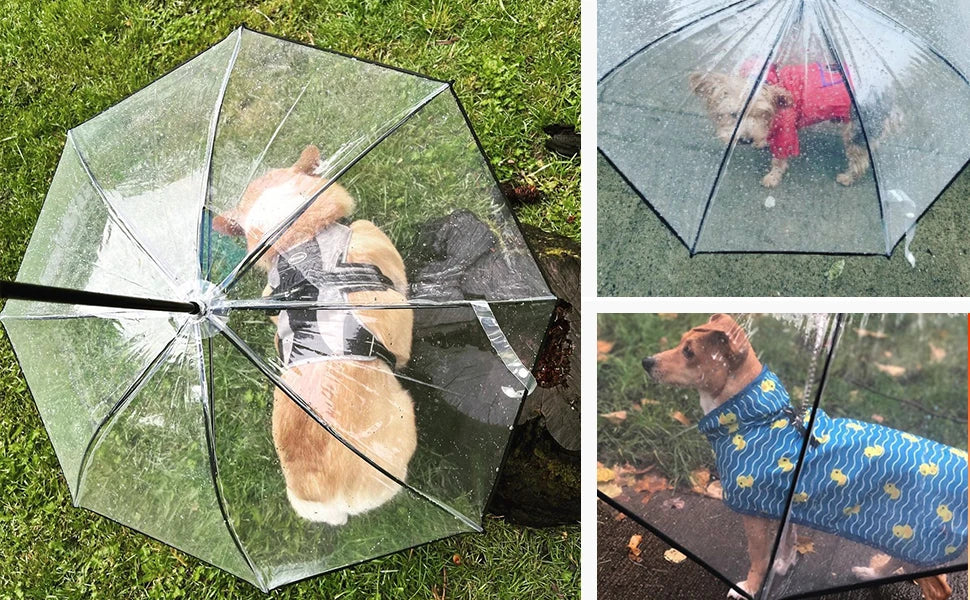 Dog Umbrella with Leash - Small Pets